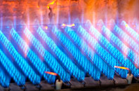 Damside gas fired boilers
